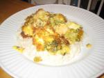Indian Curry Chicken Casserole 8 Dinner