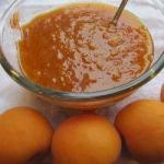 American Homemade Compote of Apricots Dessert