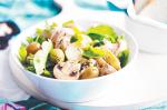 American Artichoke Mushroom And Rocket Salad Recipe Appetizer