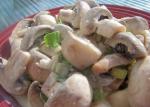 Finnish Sienisalaatti a Fresh Mushroom Salad from Finland Drink