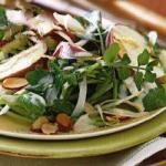 American Salad of Endive and Watercress with Almonds Dessert