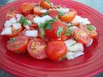 American Tomato Salad with Gingergarlic Dressing Appetizer