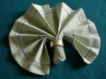 American Serviettenapkin Folding Simple Fan Variation Appetizer