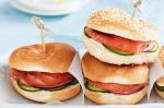 American Smoked Salmon And Cucumber Bagels Recipe Appetizer