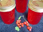 American Currant Jelly 4 Appetizer