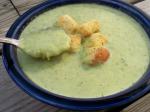 American Curried Cream of Broccoli Soup 2 Appetizer