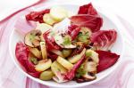 American Kipfler And Portobello Mushroom Salad Recipe Appetizer