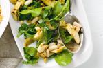 Canadian Marinated Artichoke And Cannellini Bean Salad Recipe Appetizer
