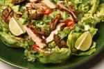 Chinese Grilled Sesame Chicken and Eggplant Salad Recipe Appetizer