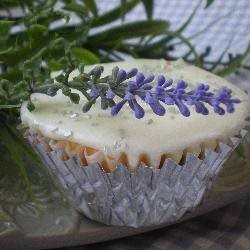 American Cupcakes of Honey and Lavender Breakfast