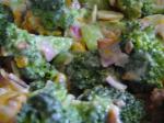 American Broccoli Orange Salad 2 Appetizer