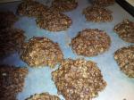 American The Best No Bake Cookies 1 Appetizer