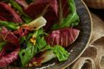 American Radicchio And Rocket Salad With Balsamic Dressing Recipe Appetizer