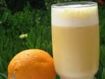 Mexican Orange Julius 40 Appetizer