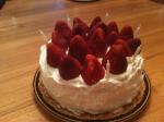 American Strawberry Shortcake 40 Dessert