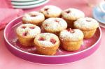 American Raspberry Hazelnut Friands Recipe Dessert
