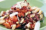 American Roast Cherry Tomato And White Bean Salad Recipe Appetizer