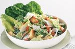 American Traditional Caesar Salad Recipe Appetizer