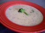 American Broccoli Cheese Soup 41 Appetizer