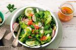 American Crunchy Cos And Fennel Salad With Red Grapefruit Dressing Recipe Appetizer