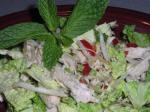 Vietnamese Quick n Easy Vietnamese Chicken Salad Dinner