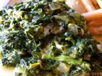 American creamed Spinach 42 Appetizer