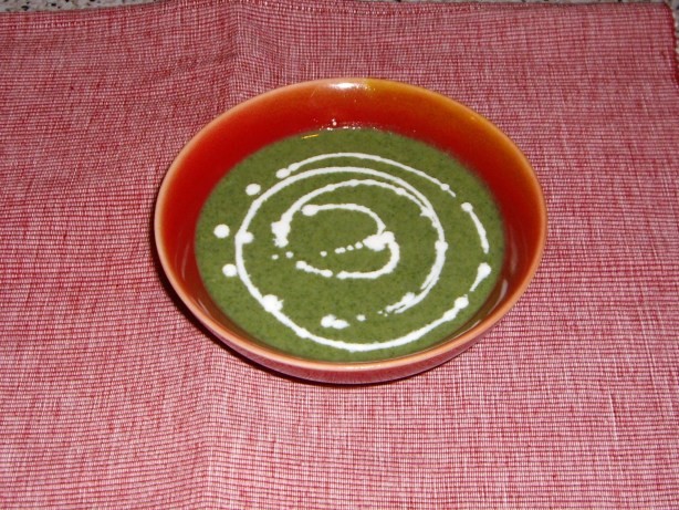 Canadian Cream of Nettle Soup vegan Appetizer