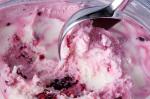 American The Easiest Frozen Yogurt with a Blackberry Swirl Recipe Dessert