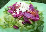 American Red Cabbage and Bacon Salad With Blue Cheese Appetizer