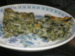 American Cheesy Spinach Squares 3 Appetizer