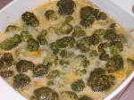 American Broccoli With Seriously Cheesy Sauce Dinner