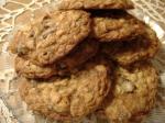 American Chewy Cranberry Oatmeal Cookies 1 Dessert