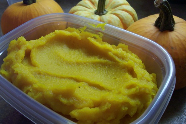 American Cooked Pumpkin native America Appetizer