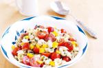 American Tomato And Olive Pasta Salad Recipe Appetizer