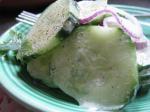 Indian Cucumber Onion Salad Appetizer