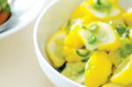 American Garlicky Squash Recipe 1 Appetizer