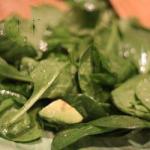 American Salad of Shoot with Spinach and Lawyer Appetizer