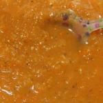 Soup of Carrots and Rutabagas recipe