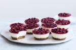 American Mini Vanilla And Pomegranate Yoghurt Cheesecakes Recipe Dessert