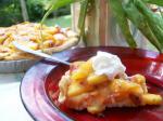 American Fresh Peach Pie 15 Dinner