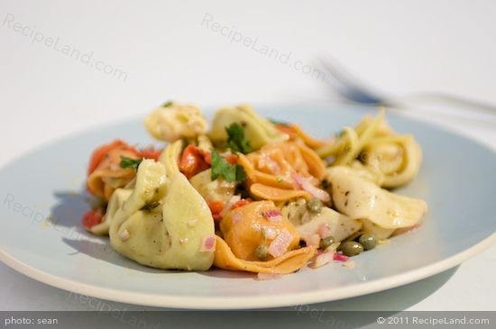 American Artichoke Tortellini Pasta Salad Dinner