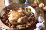 Chicken With  Cloves Of Garlic Recipe 2 recipe