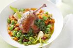 French Spring Cassoulet With Pistou Recipe Appetizer