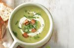 British Potato And Pea Soup With Crunchy Bacon Recipe Appetizer