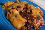 American Southwest Chicken Bean and Rice Casserole Appetizer