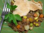 American Country Beef Pot Pie Appetizer