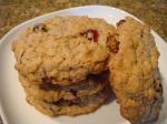 American Oatmealraisin Cookies cooks Illustrated Dessert