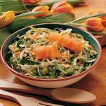 American Tangy Coleslaw 1 Appetizer