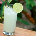 Mexican Lime Juice Appetizer