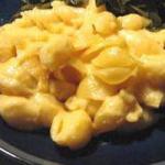 American Macaronis with Cheese Sauce Appetizer